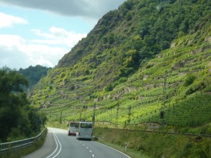 Remontée (en car !!!) de la vallée de la Moselle et ses vignes